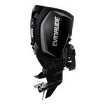 Evinrude H250HGLO 250 HO Outboard Motor